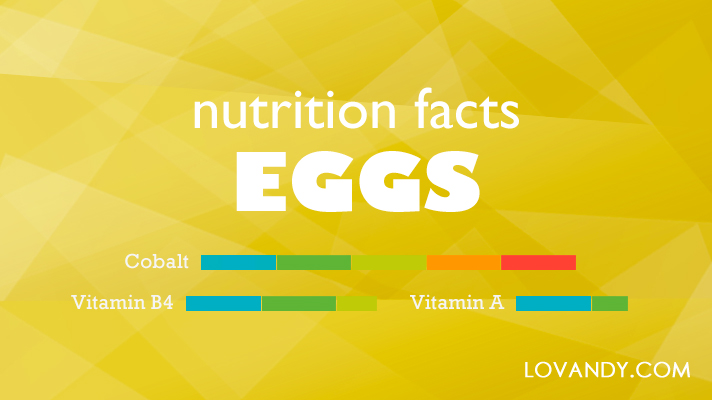 how much protein is in an egg