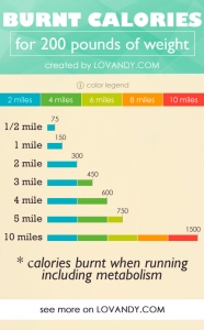 How To Calculate Calories Burned Running + Examples